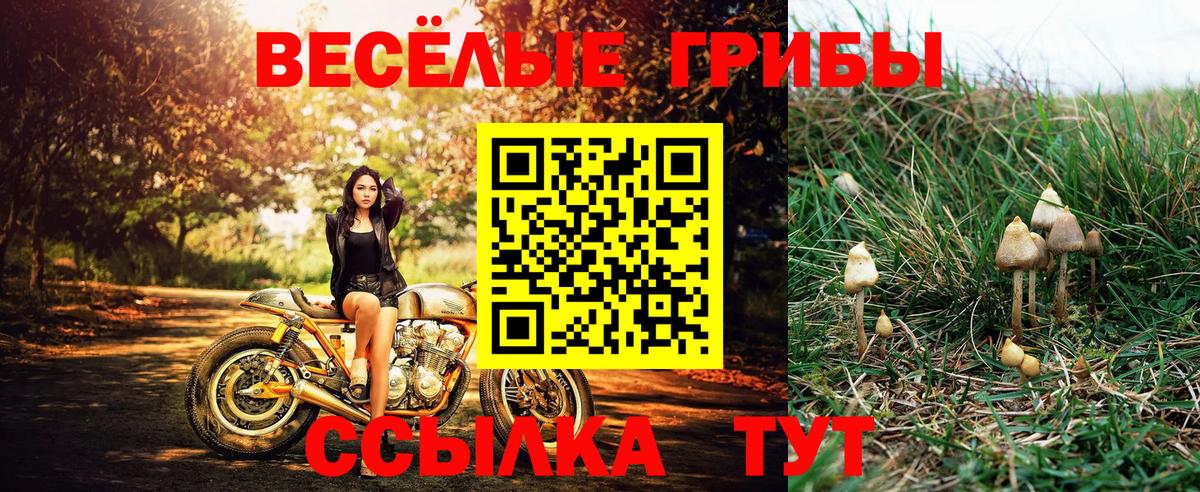 Галлюциногенные грибы мухоморы Орехово-Зуево