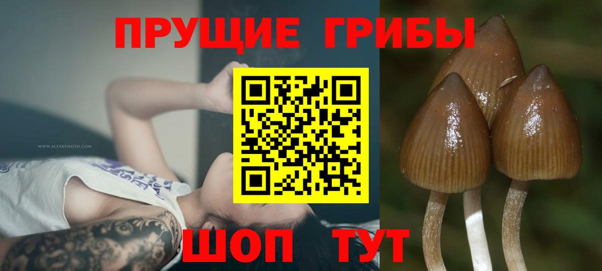 Орехово-Зуево  Галлюциногенные грибы ЛСД  Галлюциногенные грибы MAGIC MUSHROOMS  Вход с VPN 